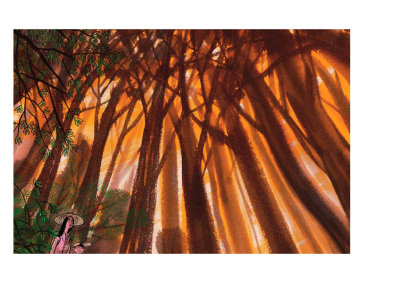 Comment naissent les arbres...