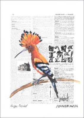 Carte postale collection d'art - Huppe fasciée