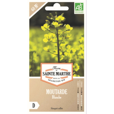 Graines bio engrais vert, Moutarde blanche 60m²