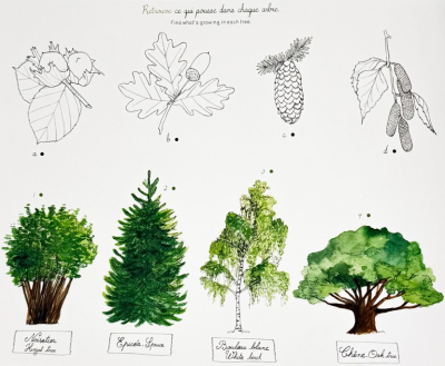Cahier d'activités dans mon jardin