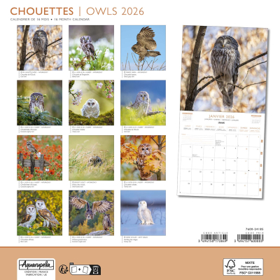 Calendrier 2026 Chouettes et Hiboux 30 x 30 cm
