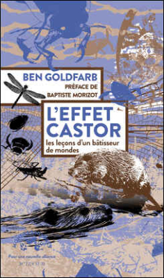 L'effet castor - Les leçons d'un bâtisseur de mondes