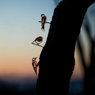 Metalbird lot d’oisillons (hirondelle, pivert et rougegorge)