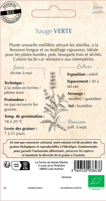 Graines Bio Sauge Verte