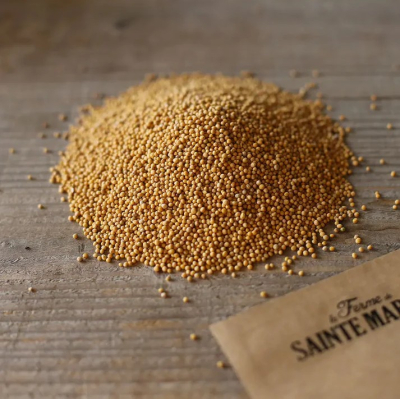 Graines Bio Engrais vert - Moutarde blanche 60 m²