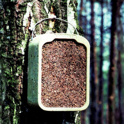 Ruche à insectes Schwegler en roseau