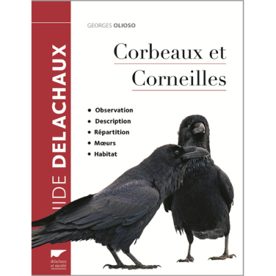 Corbeaux et Corneilles