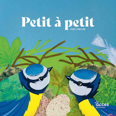 Petit à petit