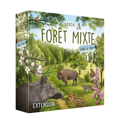Forêt mixte - Extension Lisière de forêt