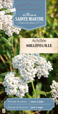 Graines Bio Achillée Millefeuille