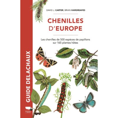 Guide Delachaux Chenilles d'Europe