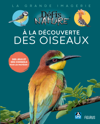 Défis Nature, À la découverte des oiseaux, La grande imagerie