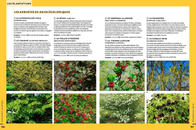 Silence ça pousse ! Adapter mon jardin au changement climatique