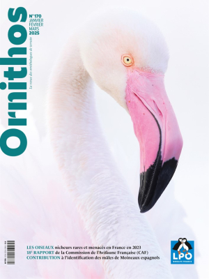 Ornithos n°170 - 1er trim. 2025
