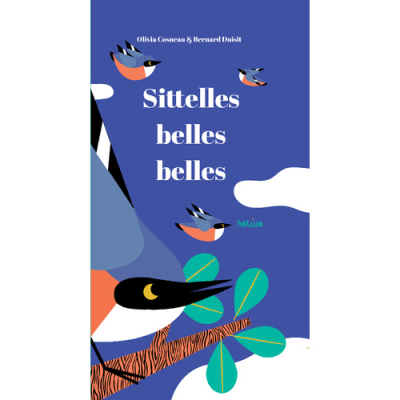 Sittelles belles belles