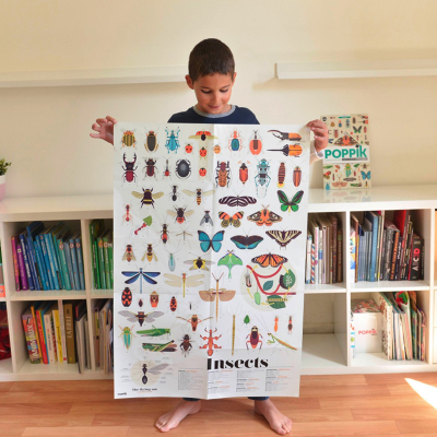 Poster pédagogique 44 stickers - Insectes