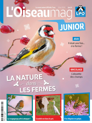 L'Oiseau Magazine Junior n°57 - Hiver 2024
