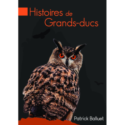 Histoires de Grands-Ducs