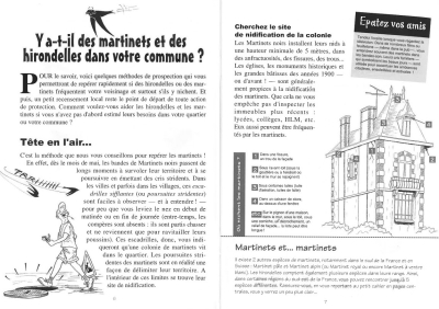 Les cahiers techniques - Aidons les martinets et les hirondelles