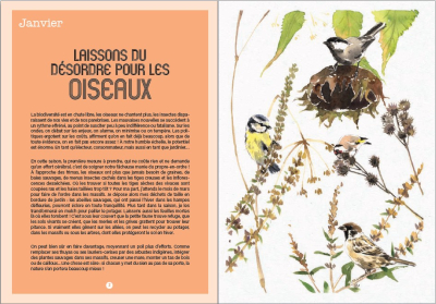 Agenda du jardinier bio 2025