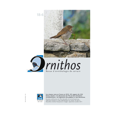 Ornithos N°18/6, Novembre-Décembre 2011