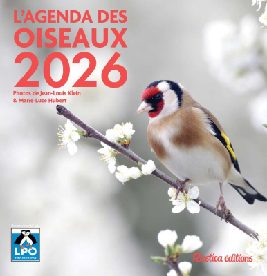 Agenda des oiseaux 2026