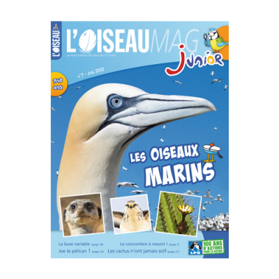L'Oiseau Magazine Junior N°7