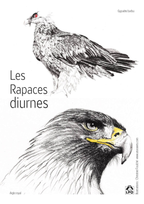 Carte postale LPO - Rapaces diurnes