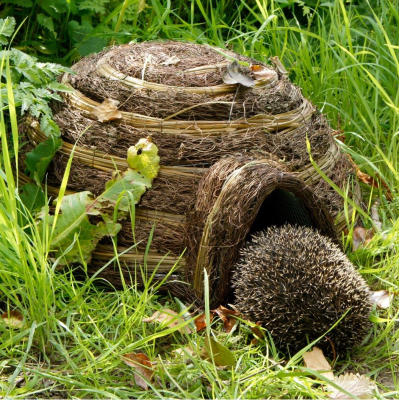 Gîte à hérisson Igloo