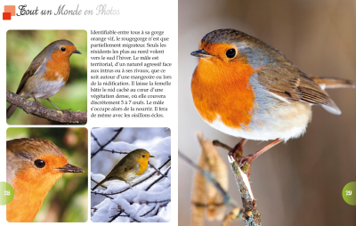 Tout un monde en photos : Les oiseaux des parcs et jardins