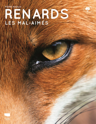 Renards Les mal-aimés