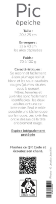 Marque-page LPO Chant Pic épeiche