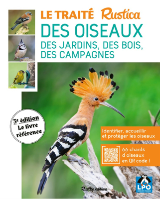 Le traité Rustica des oiseaux des jardins, des bois, des campagnes