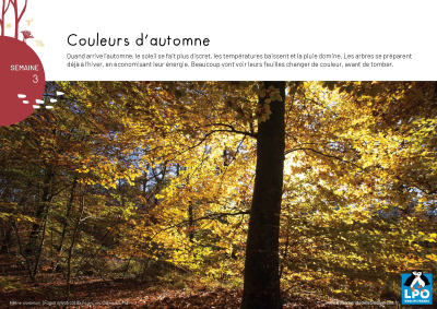 L'éphéméride LPO de la biodiversité