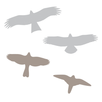 Anticollisions électrostatiques Rapaces petit format - Lot de 4