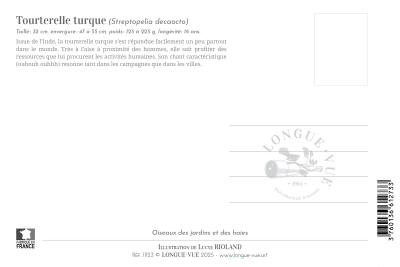 Carte postale naturaliste - Tourterelle turque