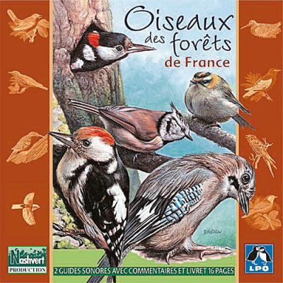 Double CD Oiseaux des forêts de France