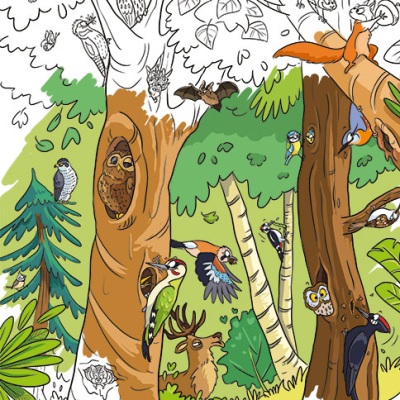 Frise de coloriage L'arbre de la biodiversité