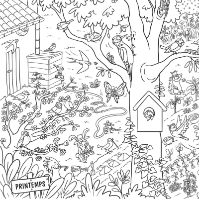 Frise de coloriage LPO - 4 saisons au jardin