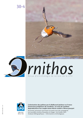 Ornithos N°30/4, Juillet-Août 2023