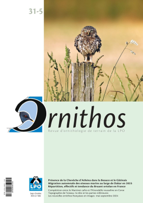 Ornithos N°31/5, Septembre-Octobre 2024