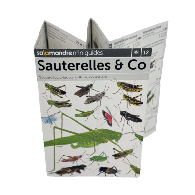 Miniguide Sauterelles & Co