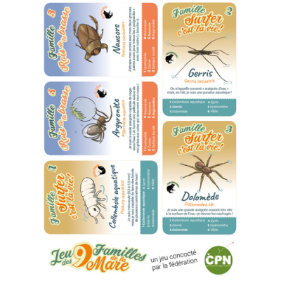 Les 9 familles de la mare