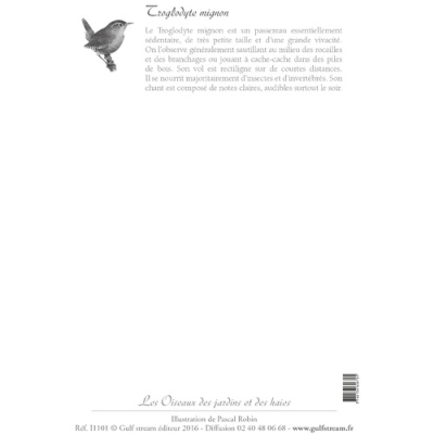 Carte Postale simple 10 x 15 cm Troglodyte mignon