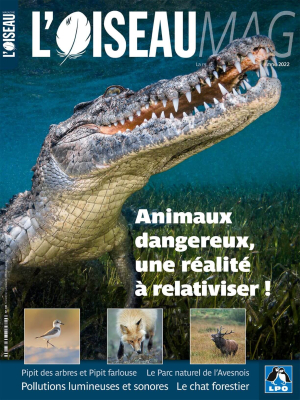 L'oiseau Mag n° 148