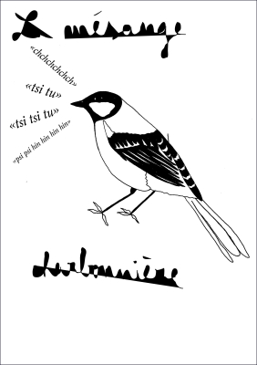 Carte collection d'art Mésange charbonnière - Marion Domanski