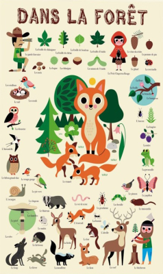 Poster pédagogique 60 stickers - Dans la forêt