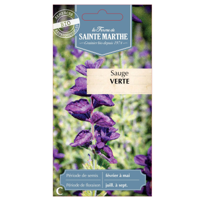 Graines Bio Sauge Verte