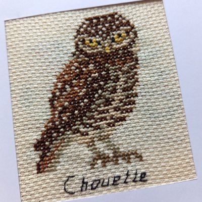 Kit broderie Chouette