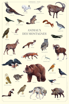Affiche 40 x 60 cm - Animaux des montagnes